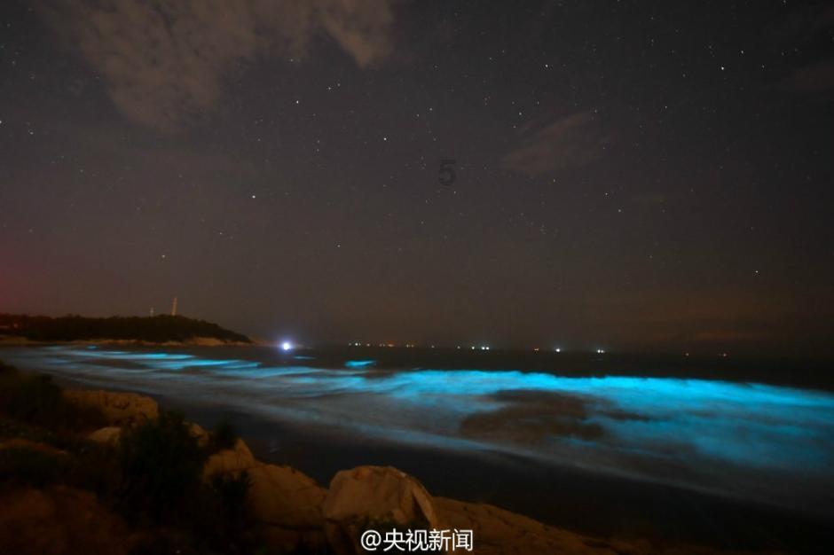海滩宾馆逃生